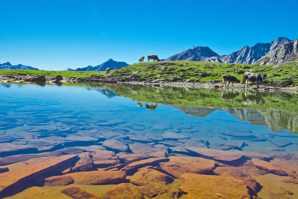 Apart Auszeit Sölden Esterno foto