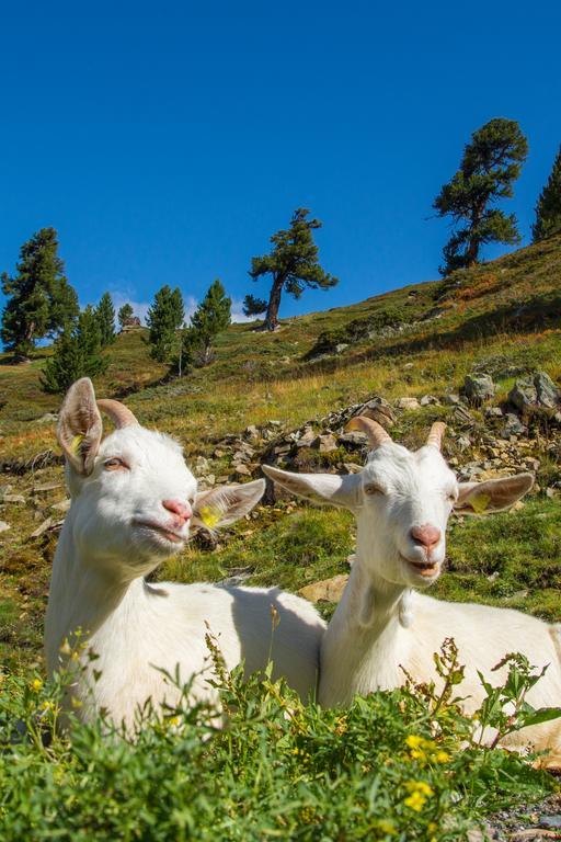 Apart Auszeit Sölden Esterno foto